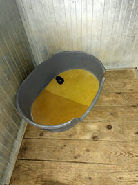 Couchages chiens acceptés